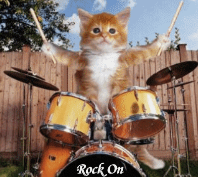 Drummer Cats: A Magazine About Feline Drummers - Tom Tom Magazine