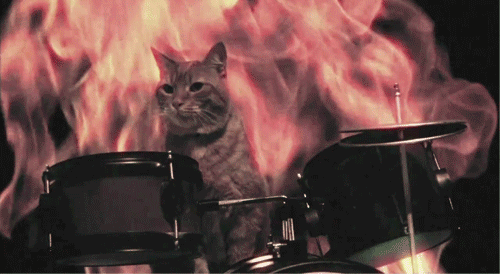 cat-giffs-playing-drums-5.gif